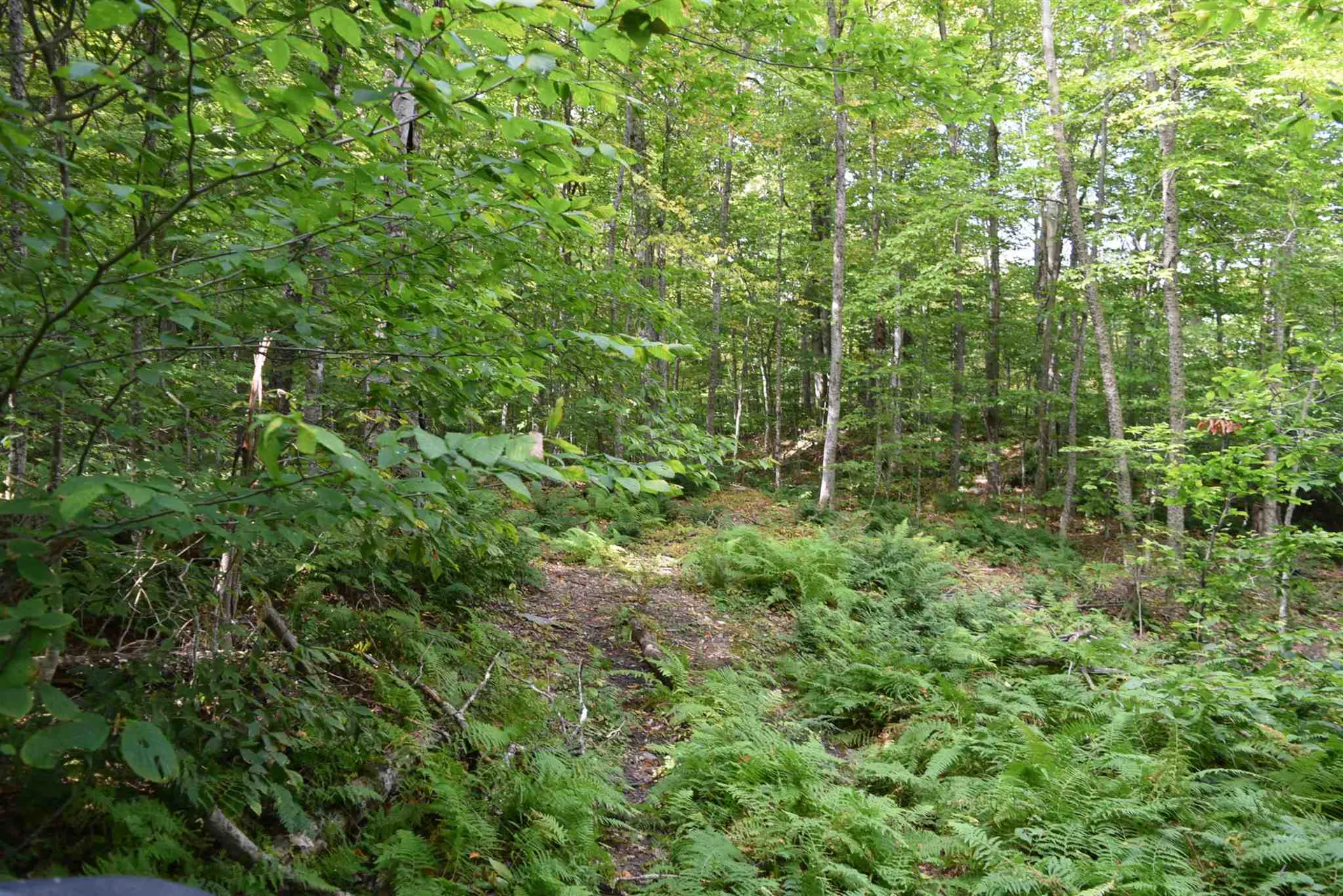 57 Moose Alley Johnson VT 05656