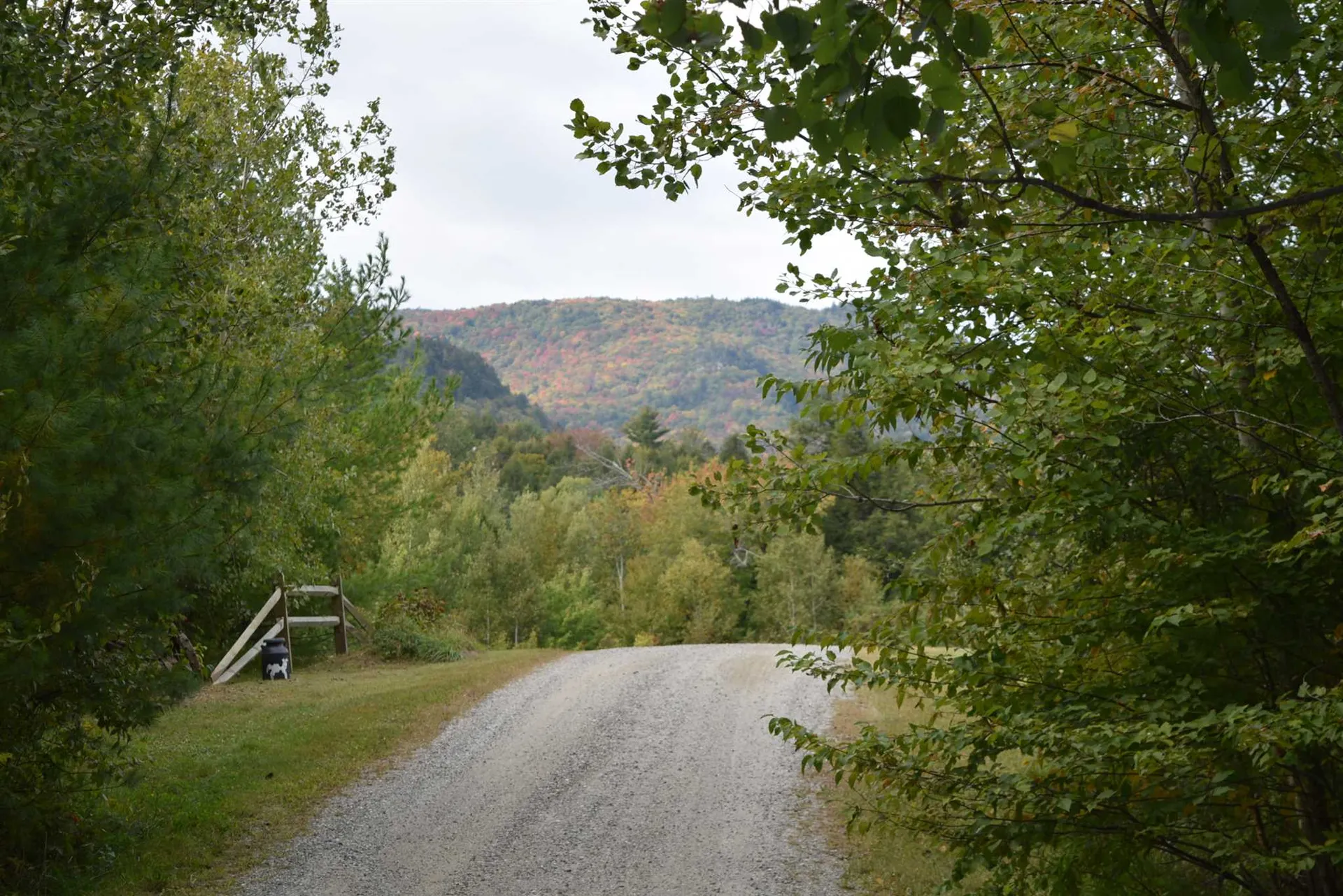 57 Moose Alley Johnson VT 05656
