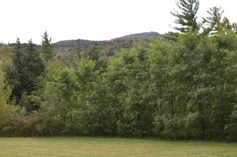 57 Moose Alley Johnson VT 05656