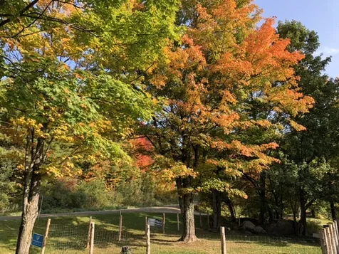 2405 Mckinstry Hill Road Hyde Park VT 05655