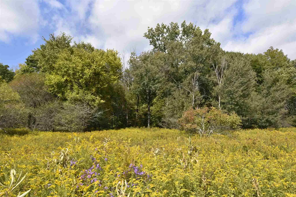 Lot 1 Shaftsbury Hollow Road Shaftsbury VT 05201
