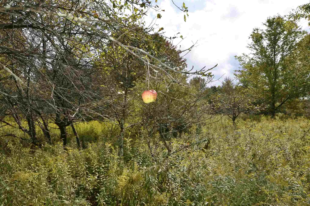 Lot 1 Shaftsbury Hollow Road Shaftsbury VT 05201