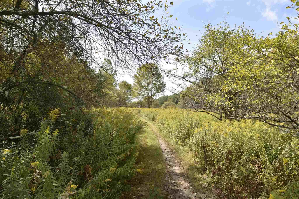 Lot 1 Shaftsbury Hollow Road Shaftsbury VT 05201
