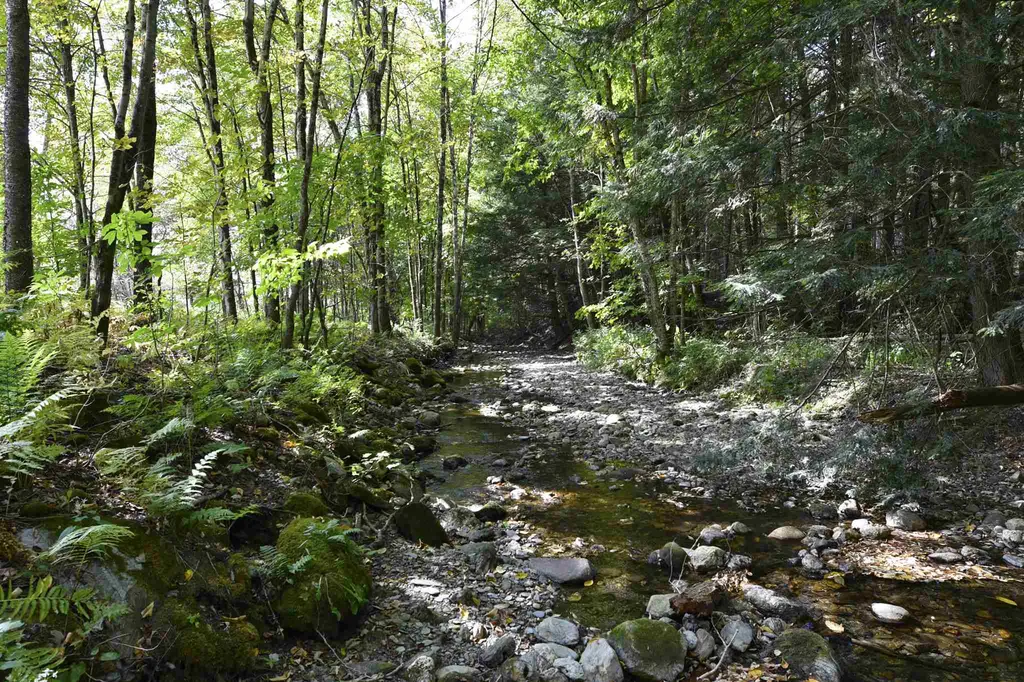 Lot 1 Shaftsbury Hollow Road Shaftsbury VT 05201