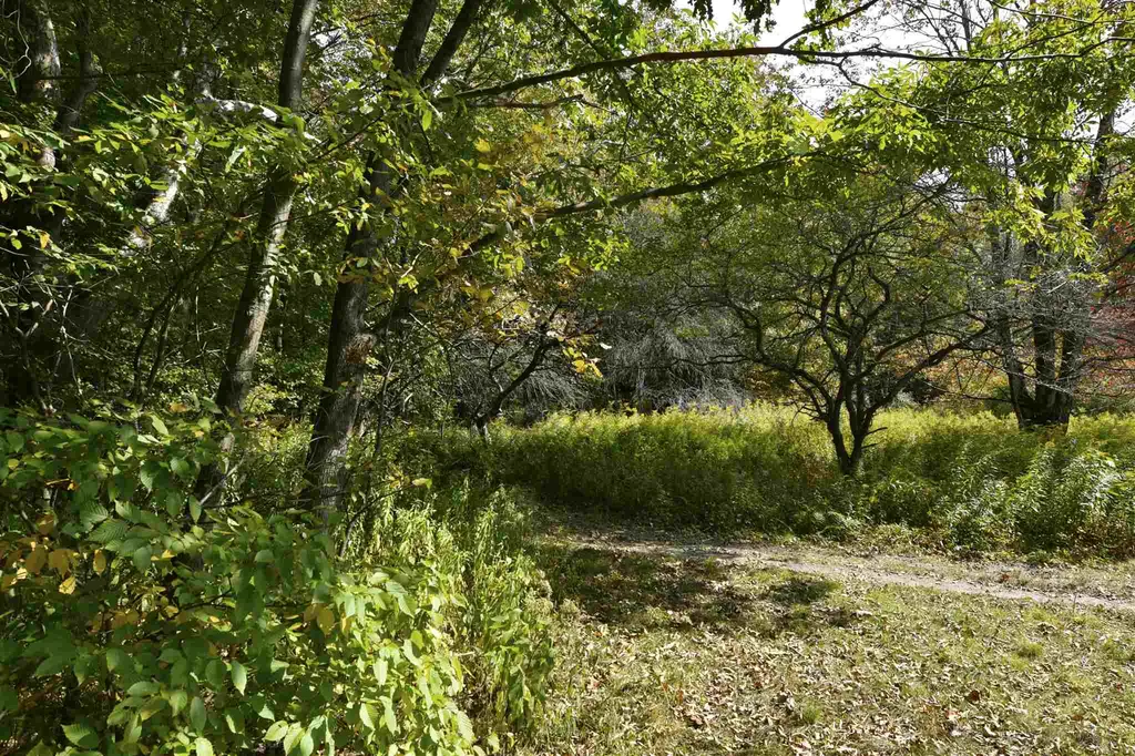 Lot 1 Shaftsbury Hollow Road Shaftsbury VT 05201
