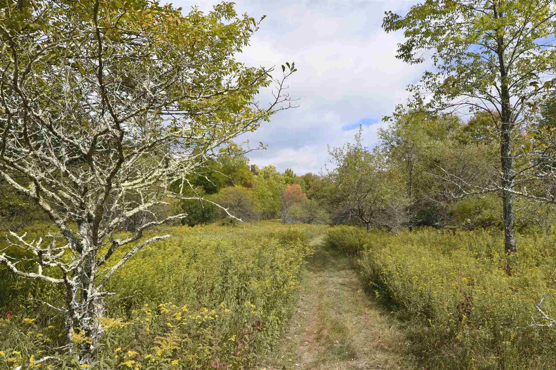 Lot 1 Shaftsbury Hollow Road Shaftsbury VT 05201