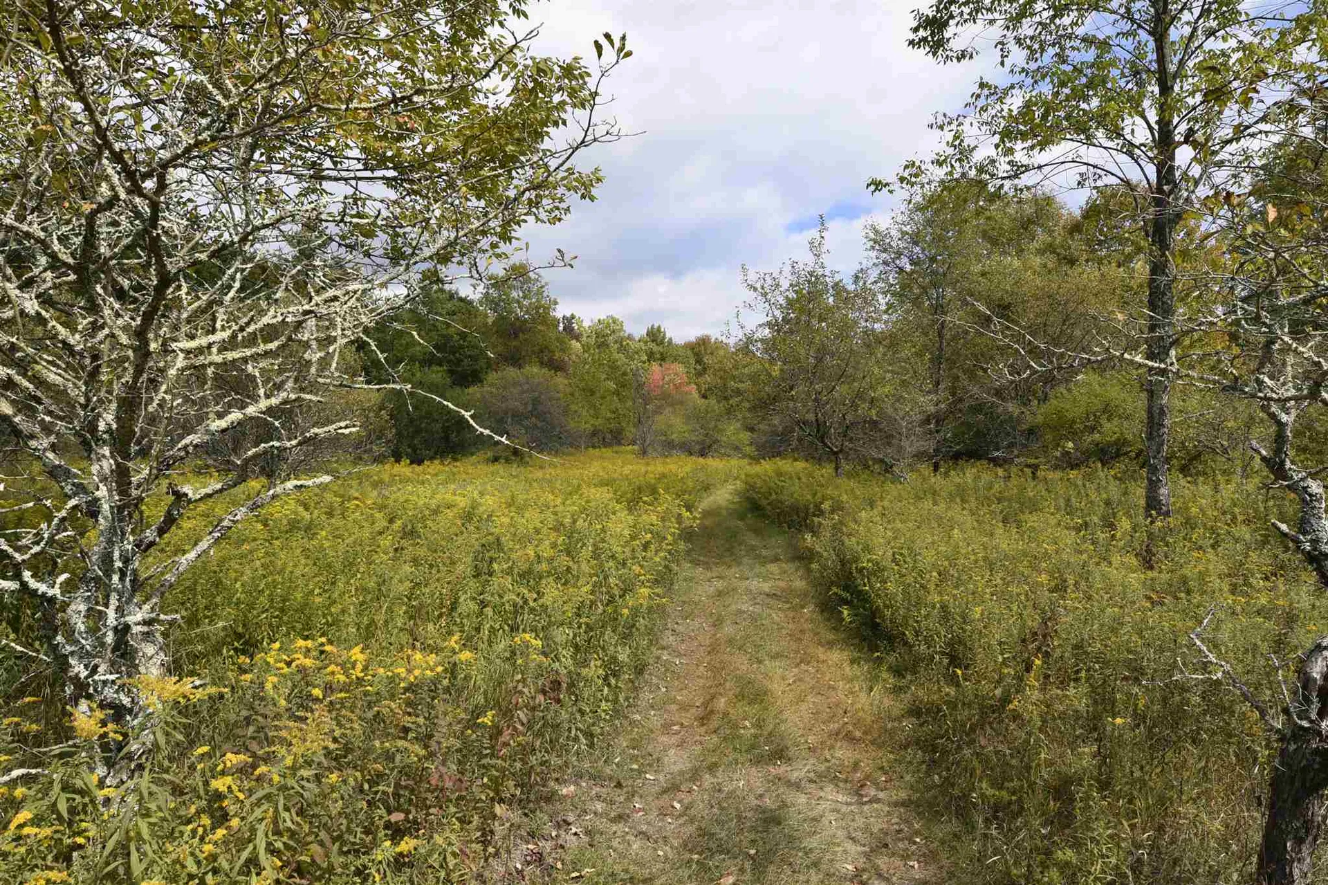 Lot 1 Shaftsbury Hollow Road Shaftsbury VT 05201