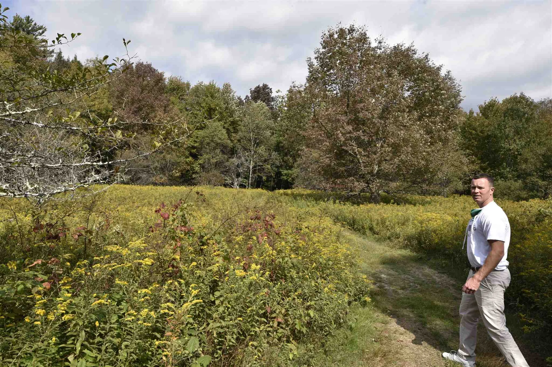 Lot 1 Shaftsbury Hollow Road Shaftsbury VT 05201