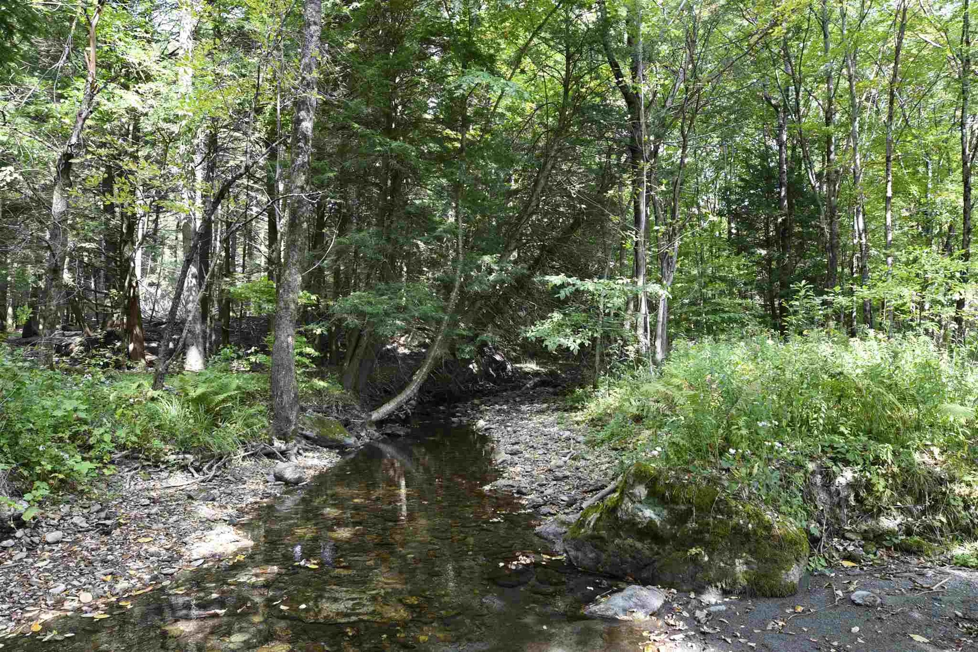 Lot 1 Shaftsbury Hollow Road Shaftsbury VT 05201