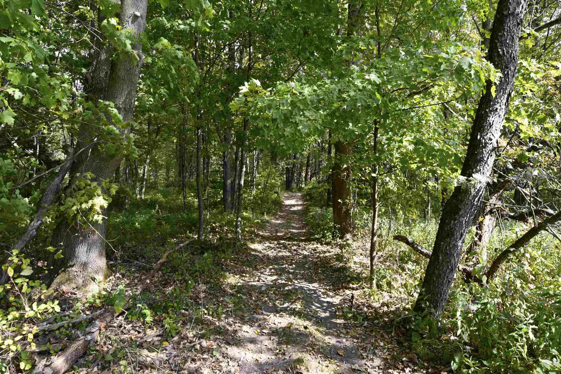 Lot 1 Shaftsbury Hollow Road Shaftsbury VT 05201
