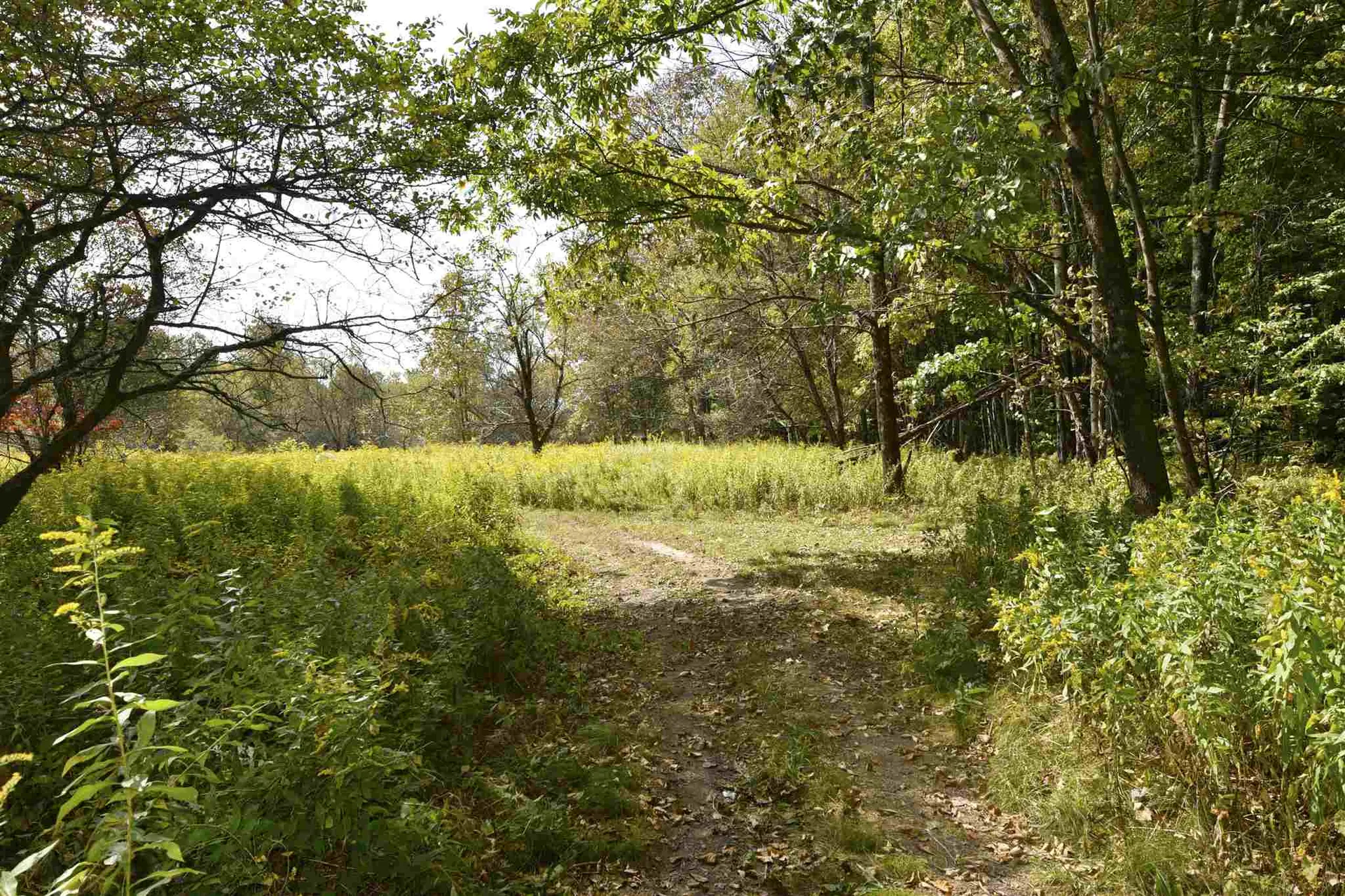 Lot 1 Shaftsbury Hollow Road Shaftsbury VT 05201