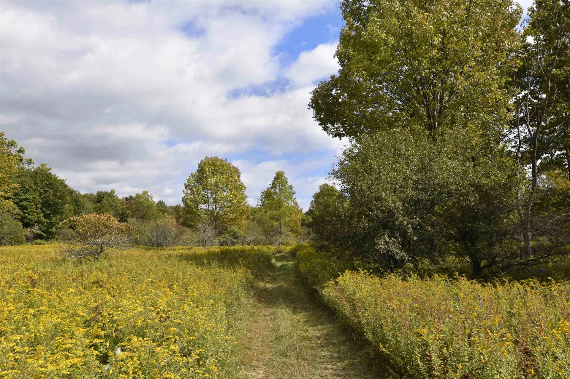 Lot 1 Shaftsbury Hollow Road Shaftsbury VT 05201