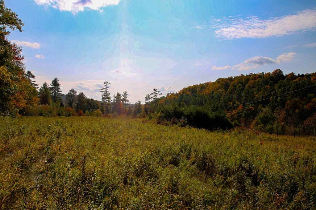 2332 Bowen Road Newbury VT 05040