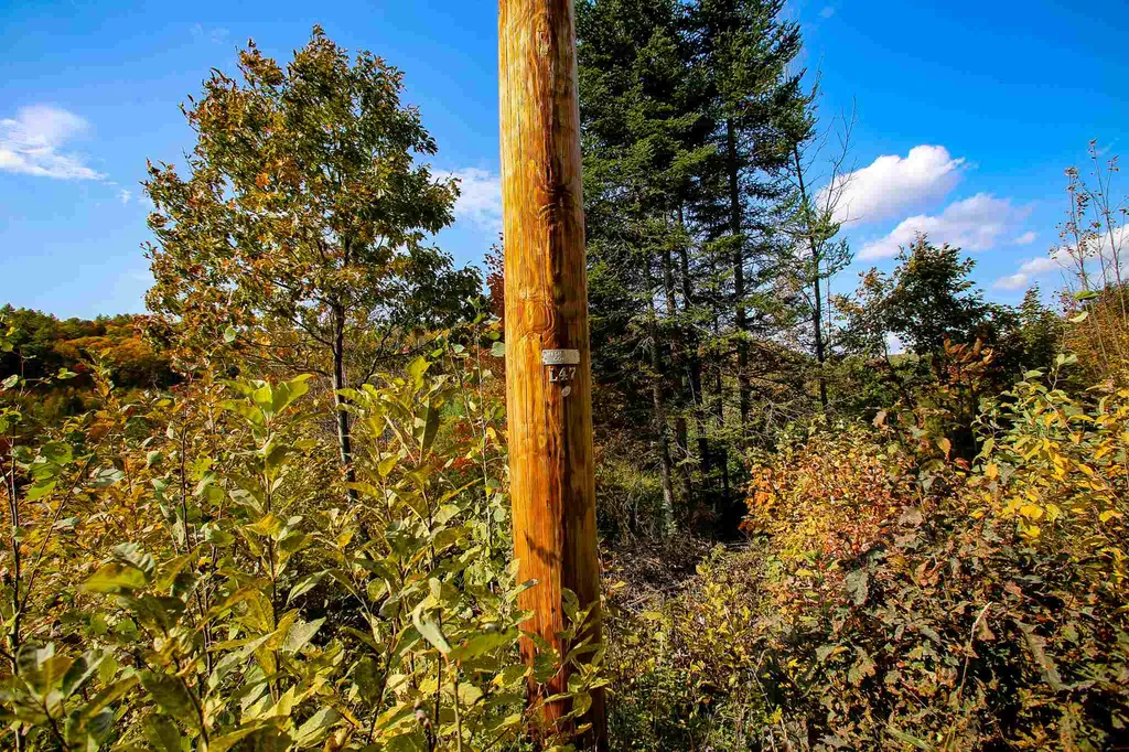 2332 Bowen Road Newbury VT 05040