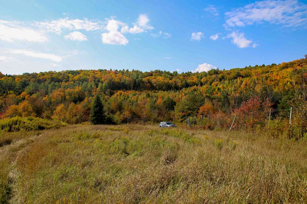 2332 Bowen Road Newbury VT 05040