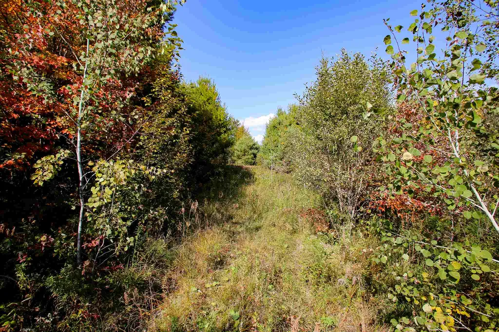 2332 Bowen Road Newbury VT 05040
