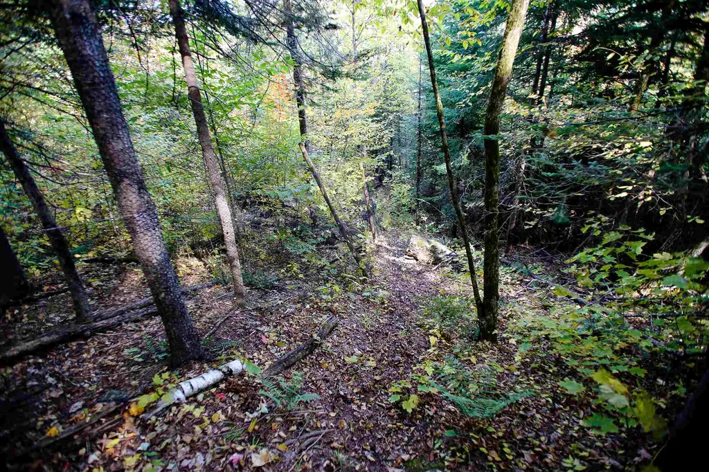 2332 Bowen Road Newbury VT 05040