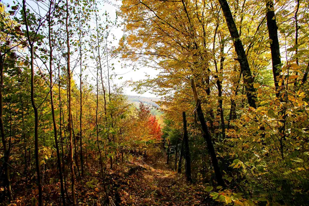 2332 Bowen Road Newbury VT 05040