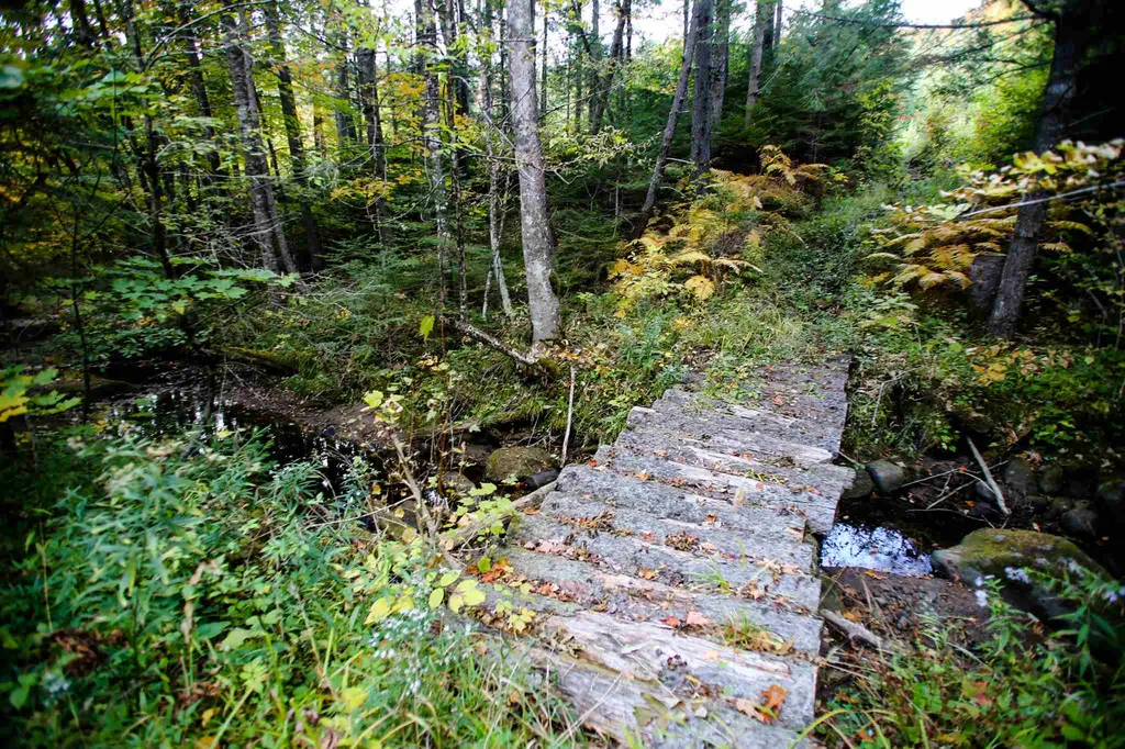 2332 Bowen Road Newbury VT 05040