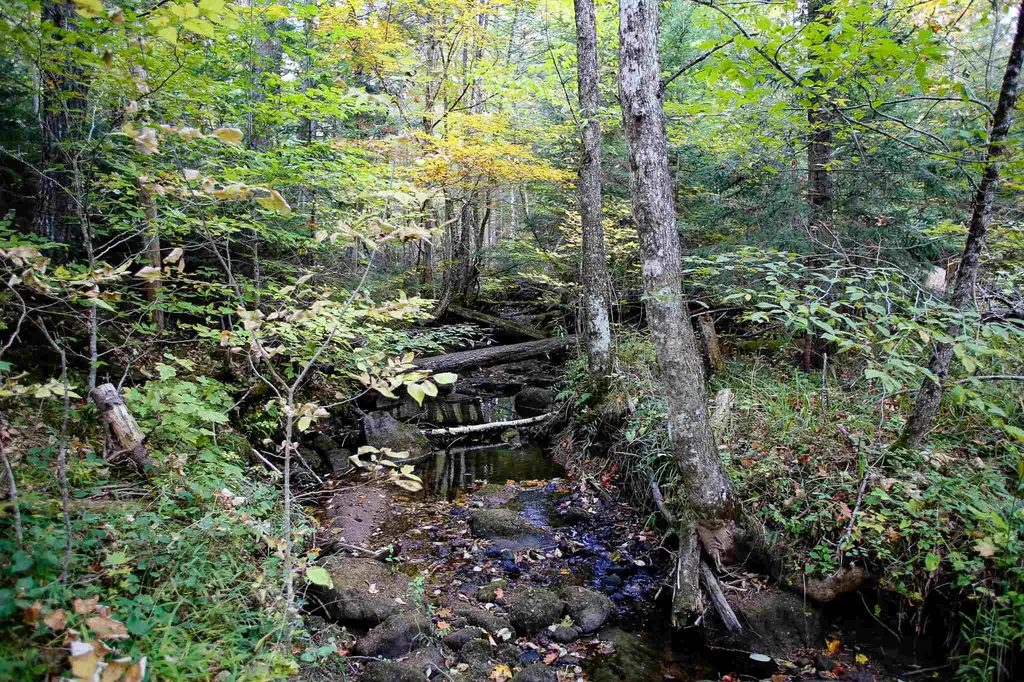 2332 Bowen Road Newbury VT 05040