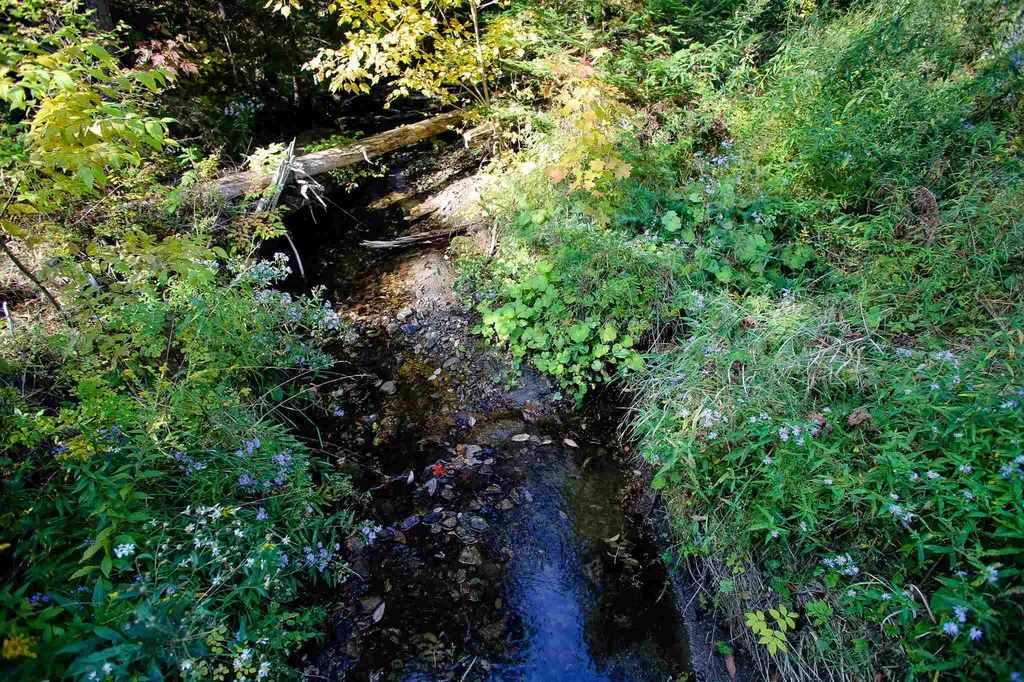 2332 Bowen Road Newbury VT 05040