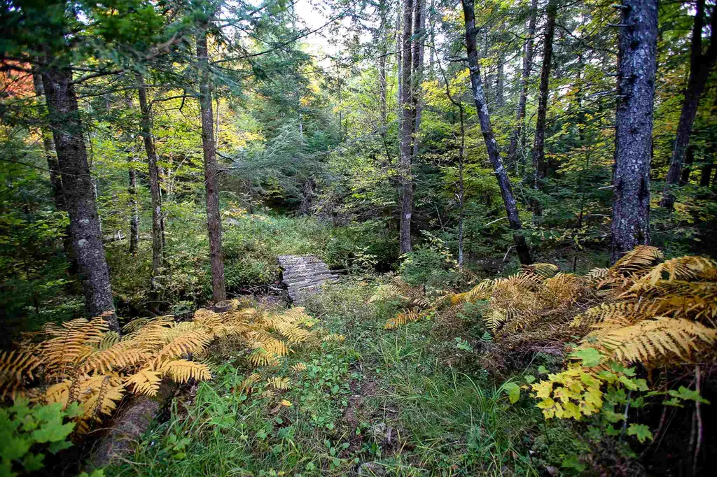 2332 Bowen Road Newbury VT 05040