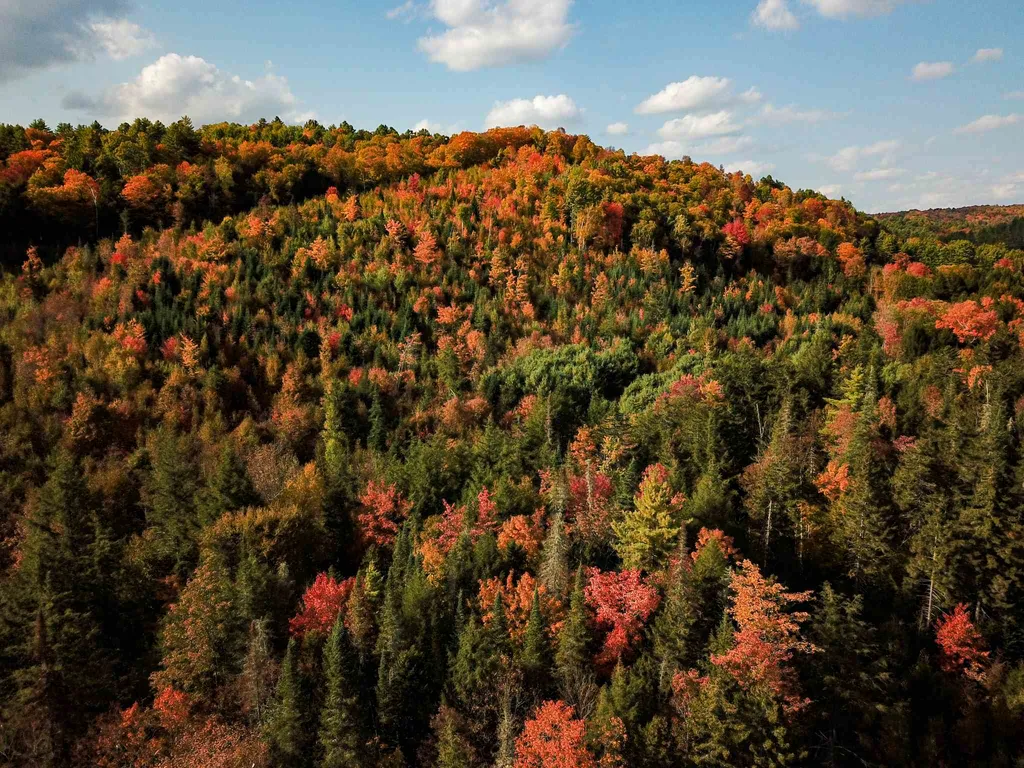 2332 Bowen Road Newbury VT 05040