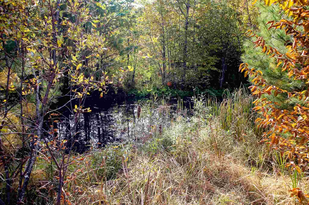 2332 Bowen Road Newbury VT 05040