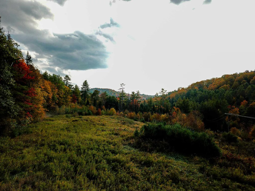 2332 Bowen Road Newbury VT 05040