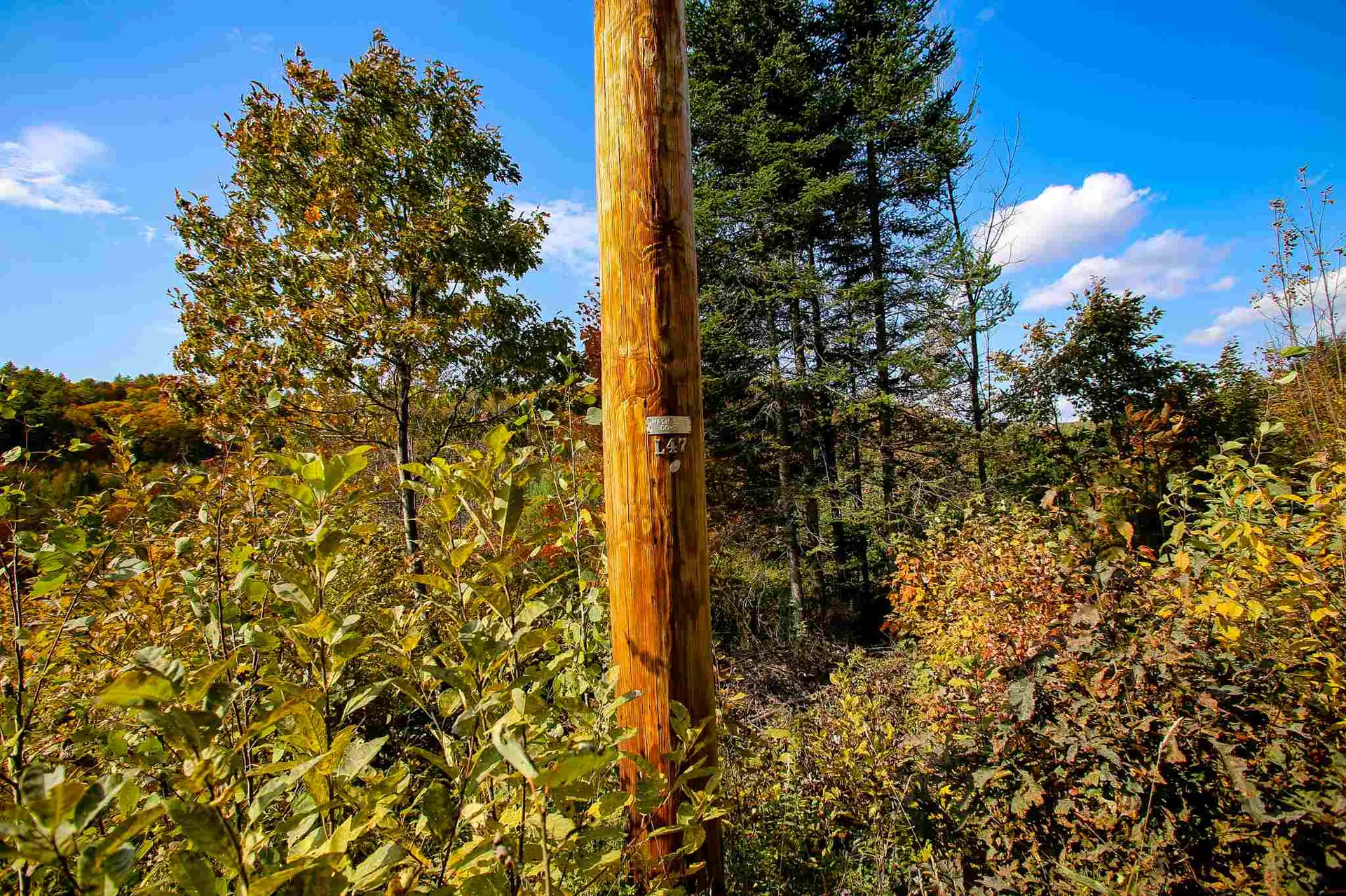 2332 Bowen Road Newbury VT 05040