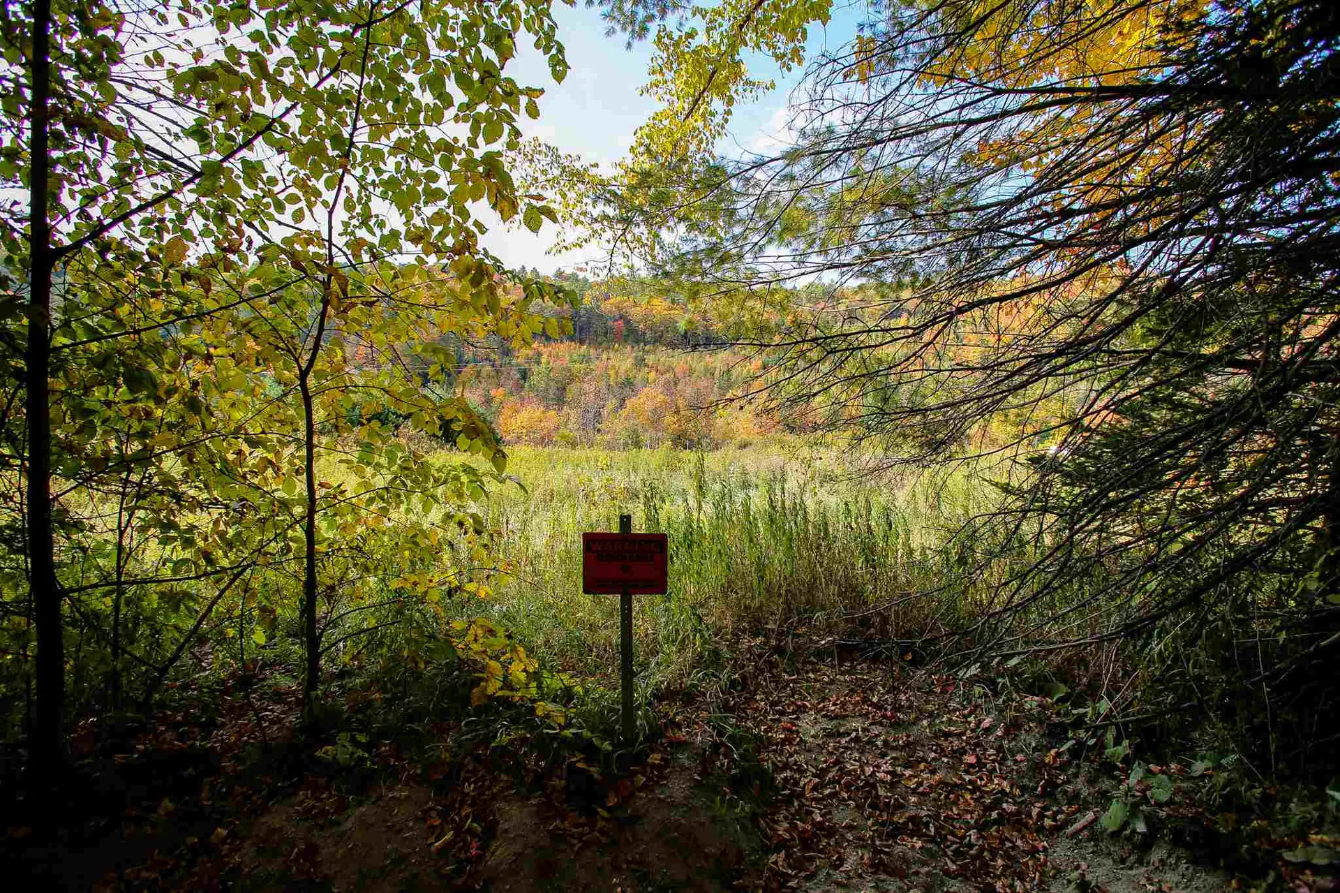 2332 Bowen Road Newbury VT 05040