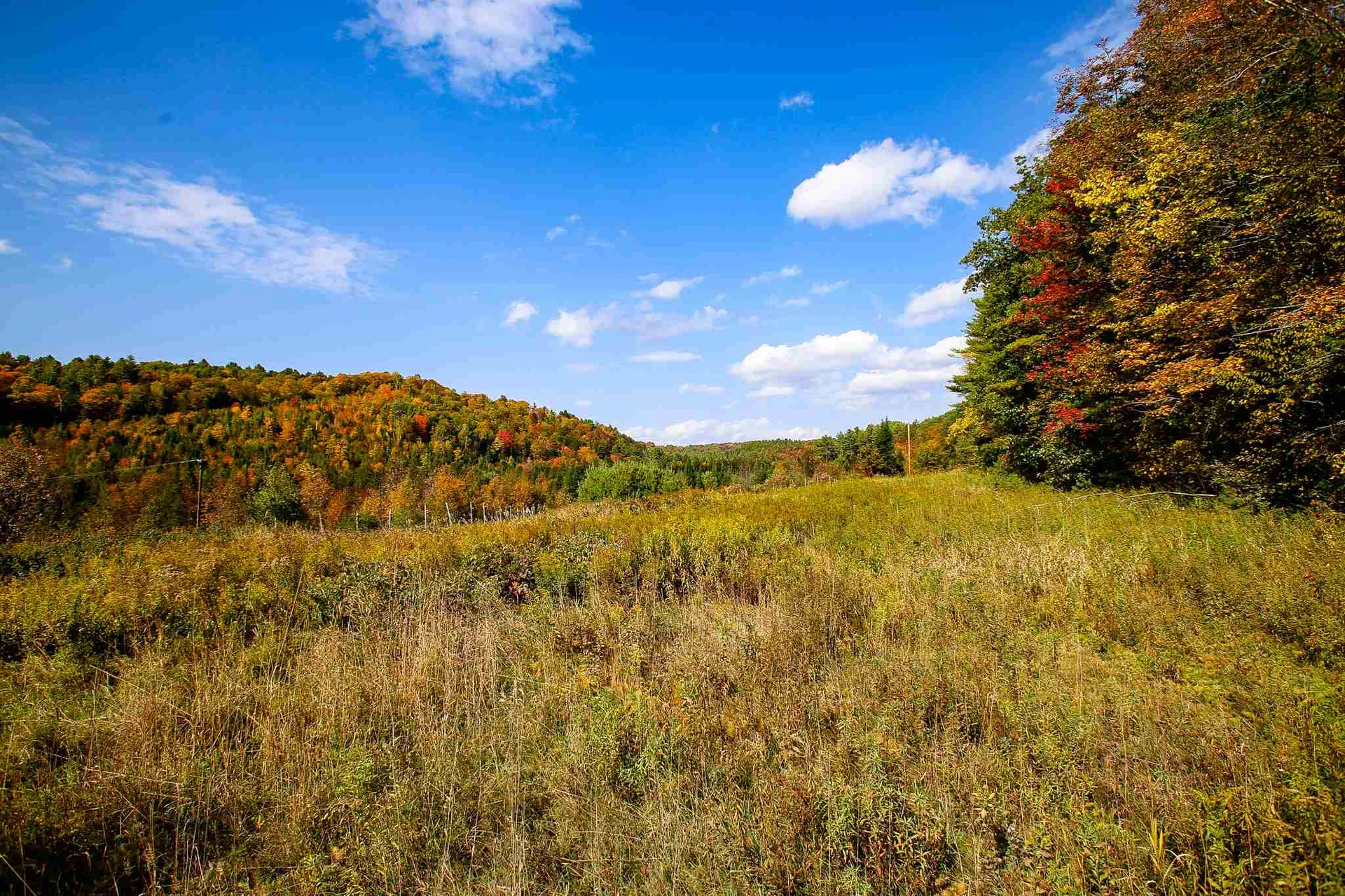 2332 Bowen Road Newbury VT 05040