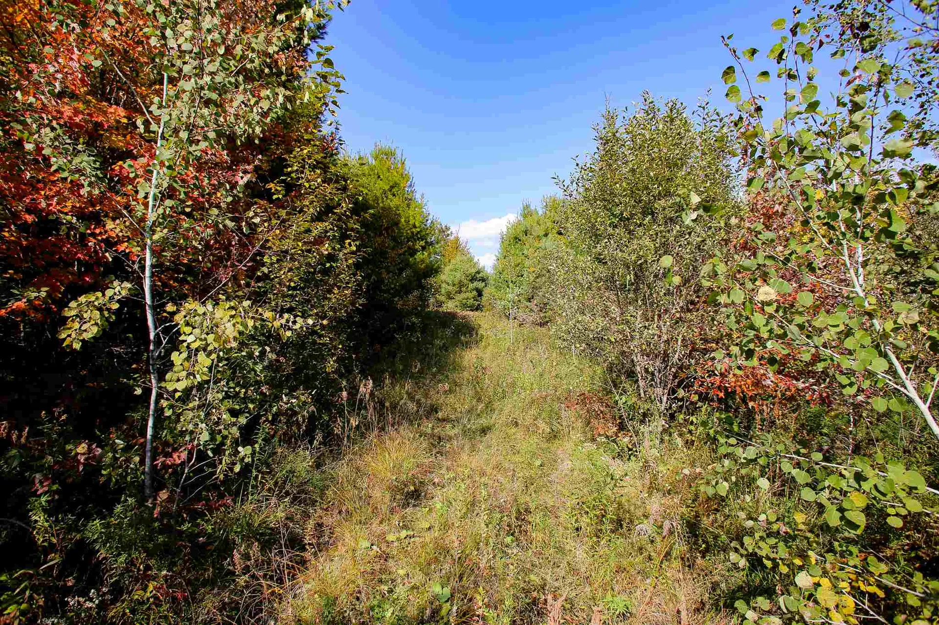 2332 Bowen Road Newbury VT 05040