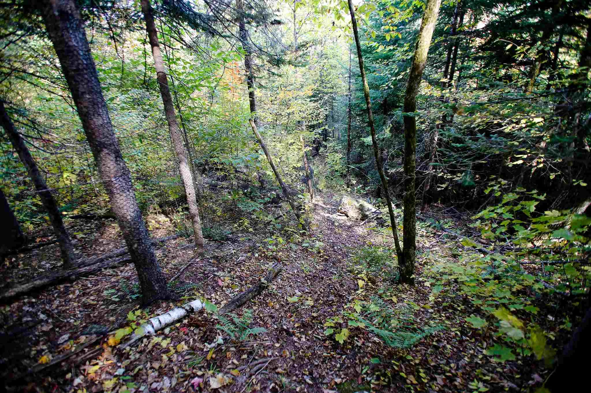 2332 Bowen Road Newbury VT 05040