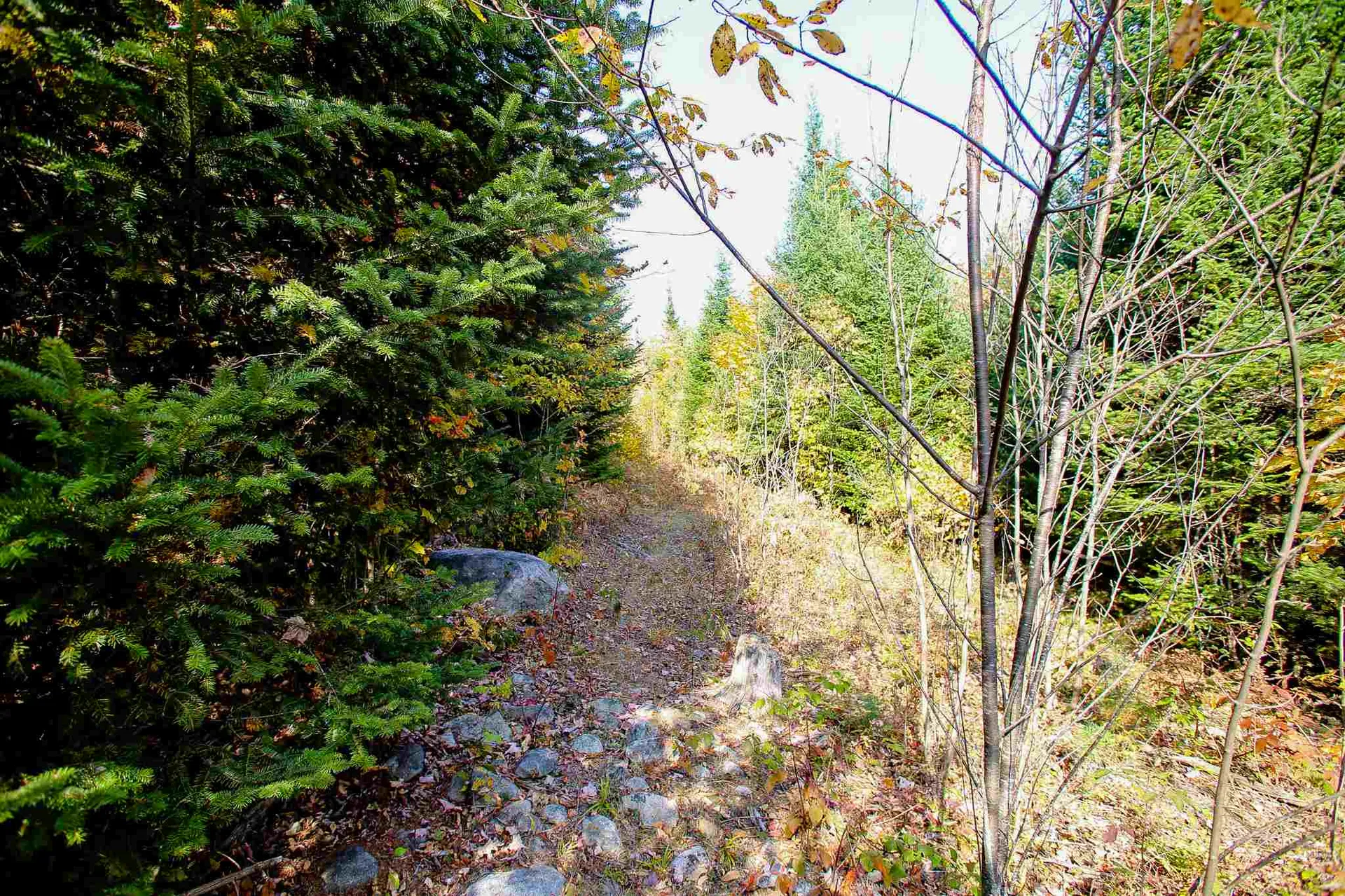 2332 Bowen Road Newbury VT 05040