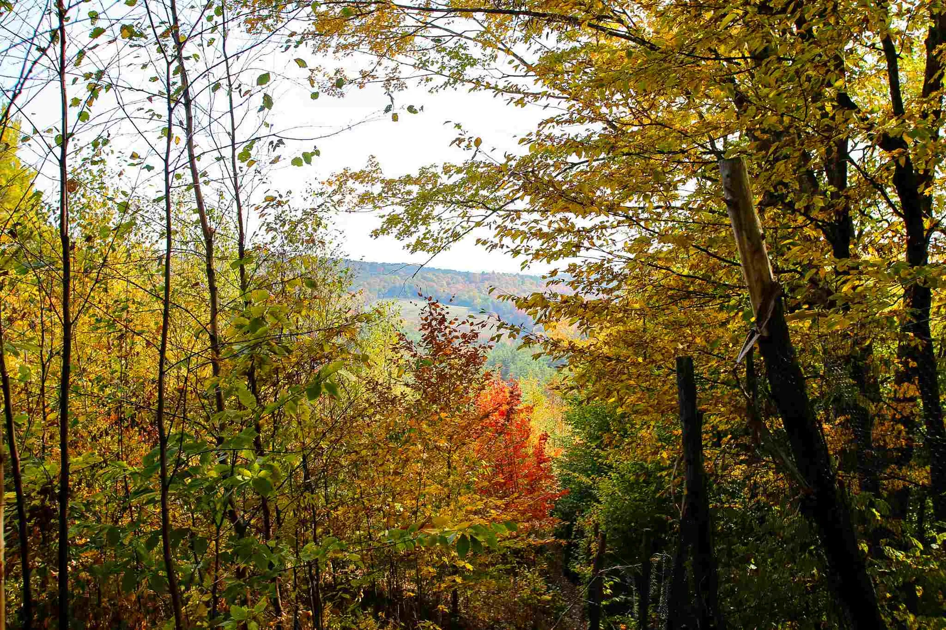 2332 Bowen Road Newbury VT 05040