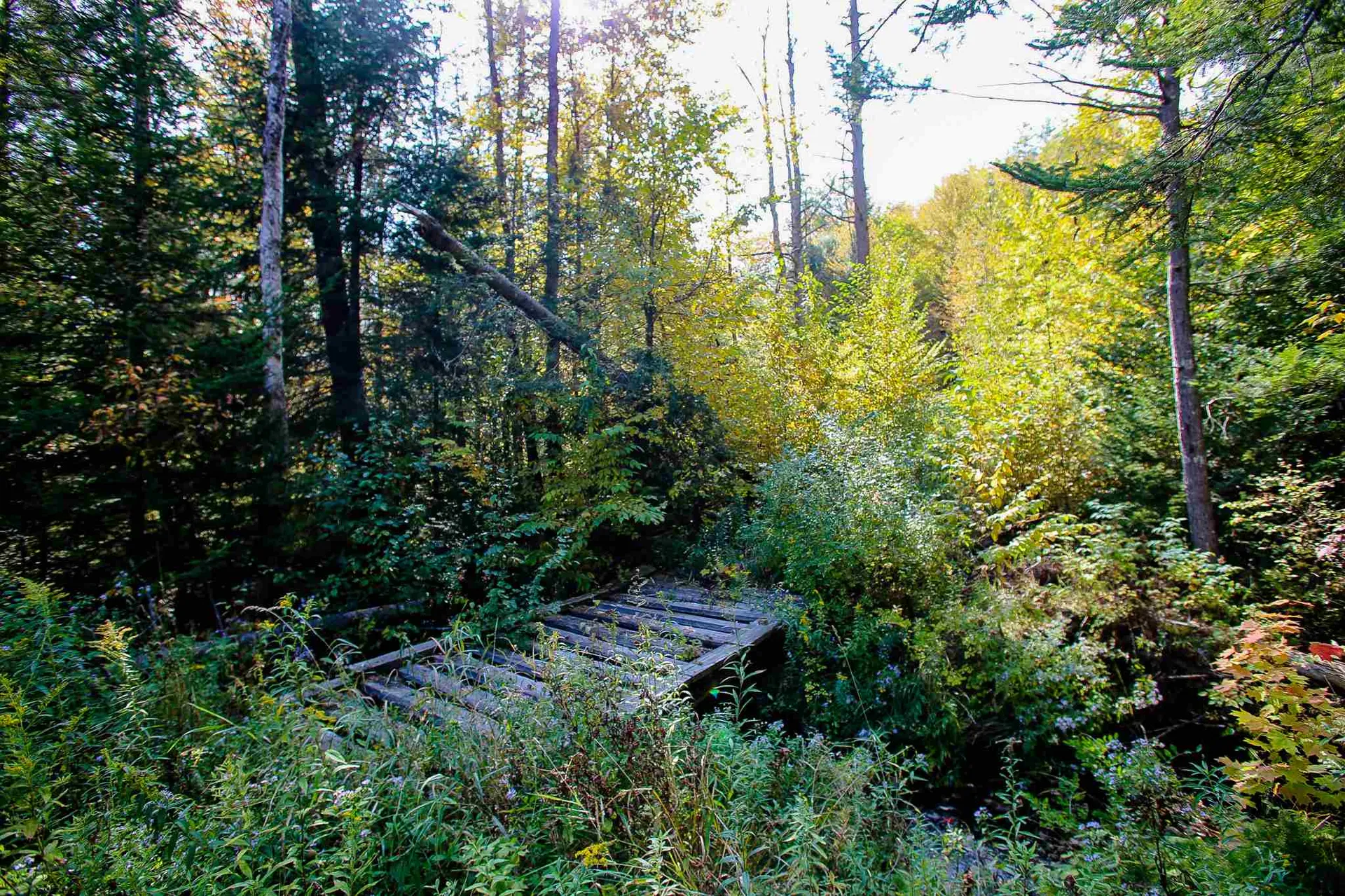 2332 Bowen Road Newbury VT 05040