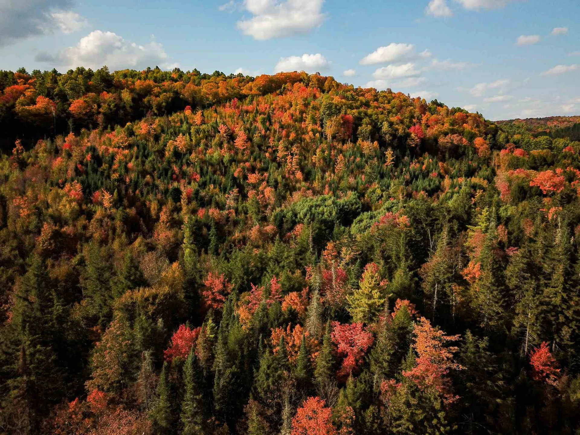 2332 Bowen Road Newbury VT 05040