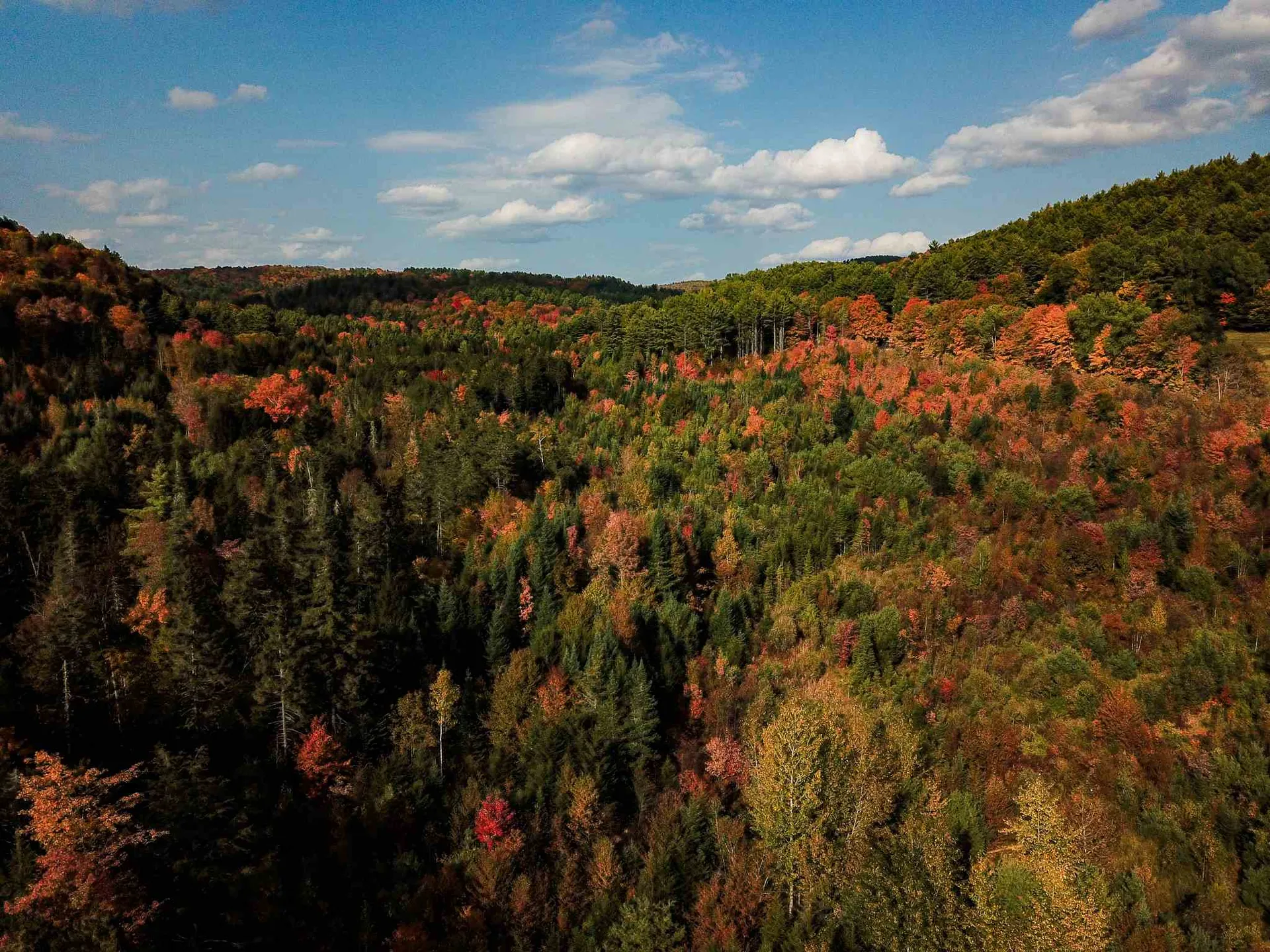 2332 Bowen Road Newbury VT 05040