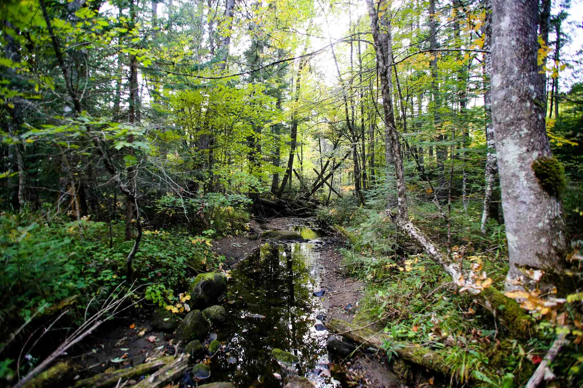 2332 Bowen Road Newbury VT 05040