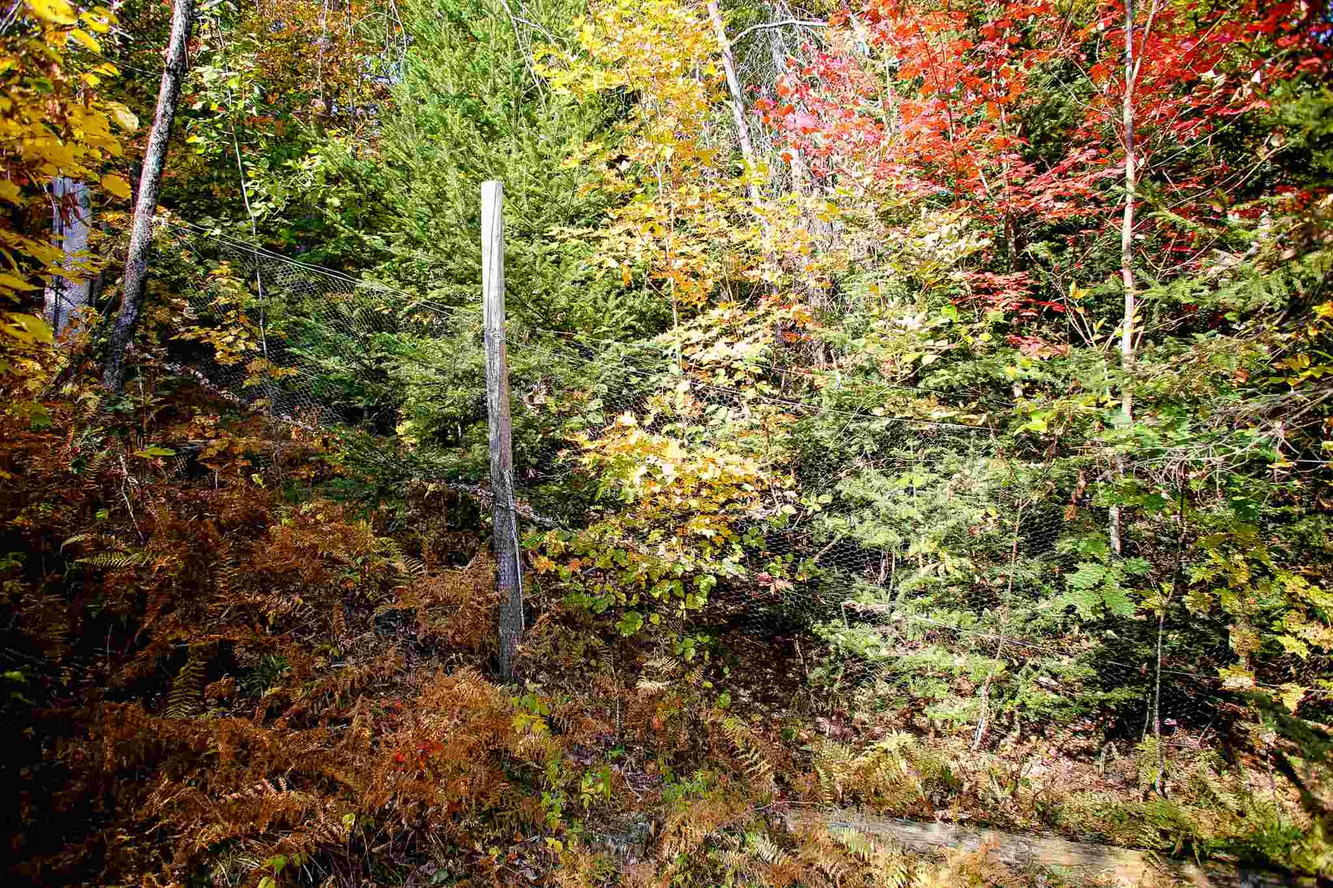 2332 Bowen Road Newbury VT 05040