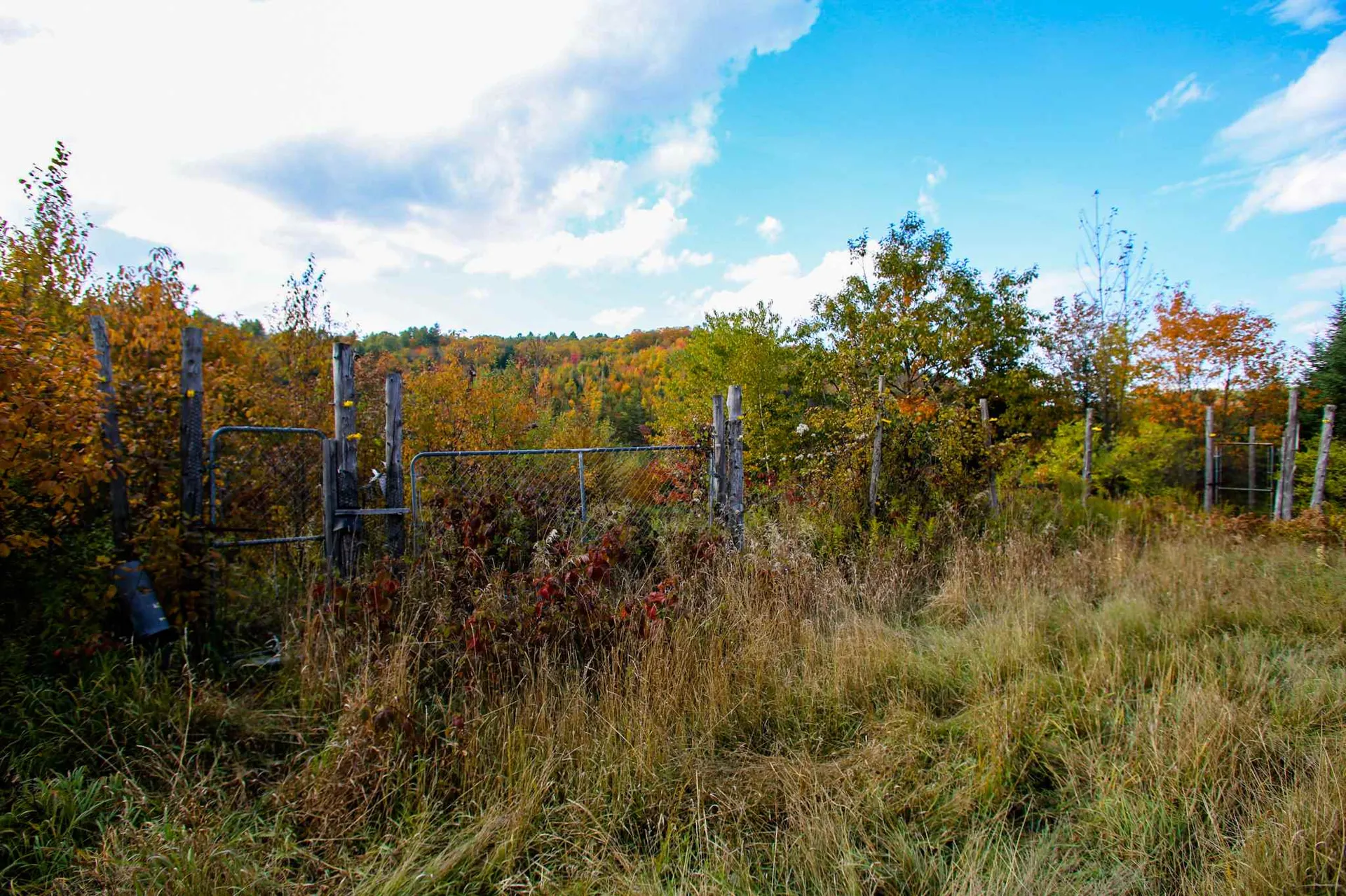 2332 Bowen Road Newbury VT 05040