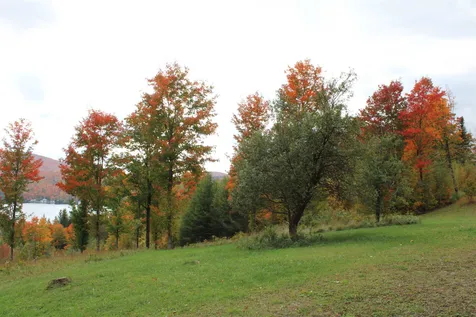 412 Clark Road Glover VT 05839