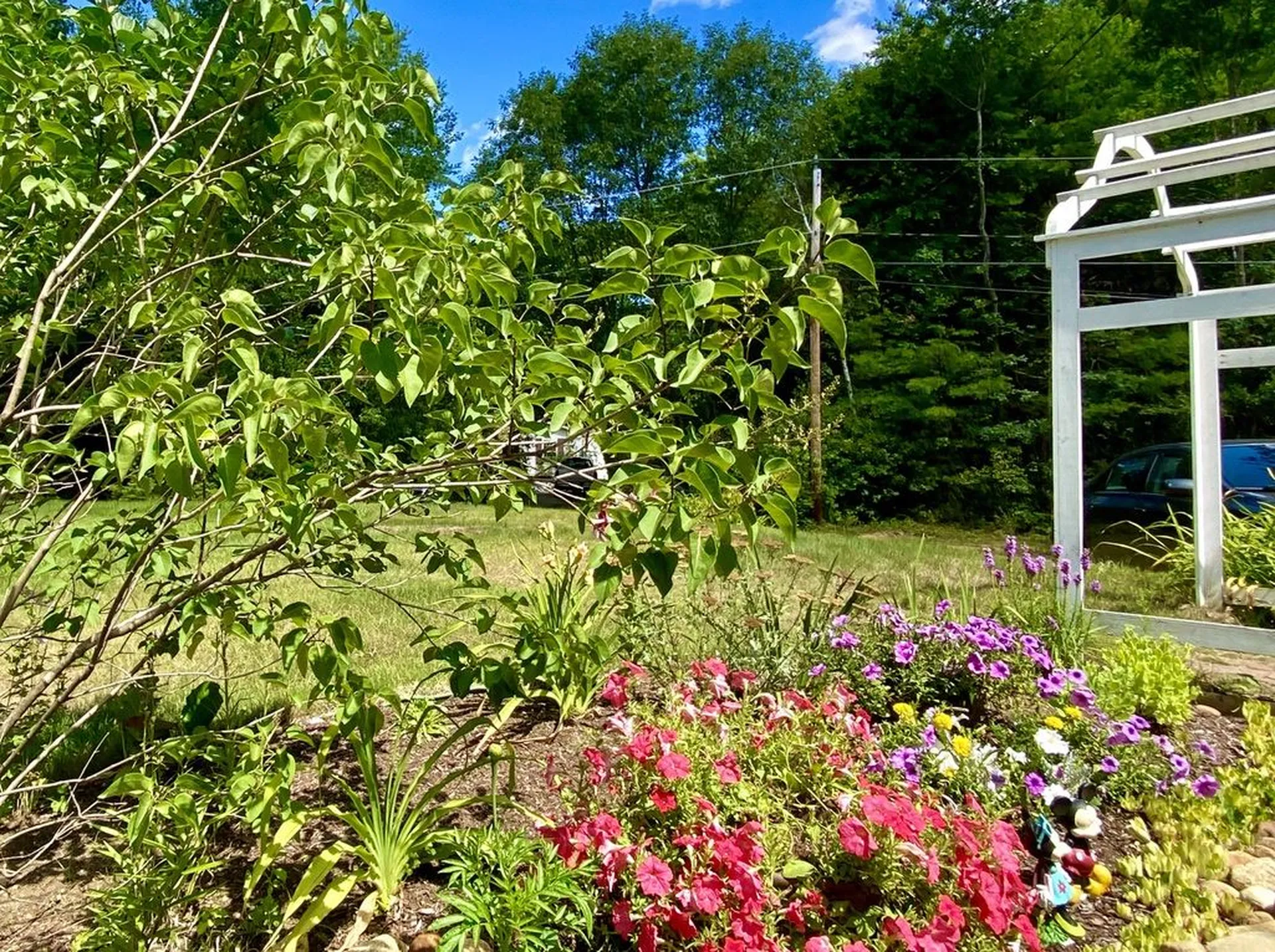 10 Willow Road Barrington NH 03825