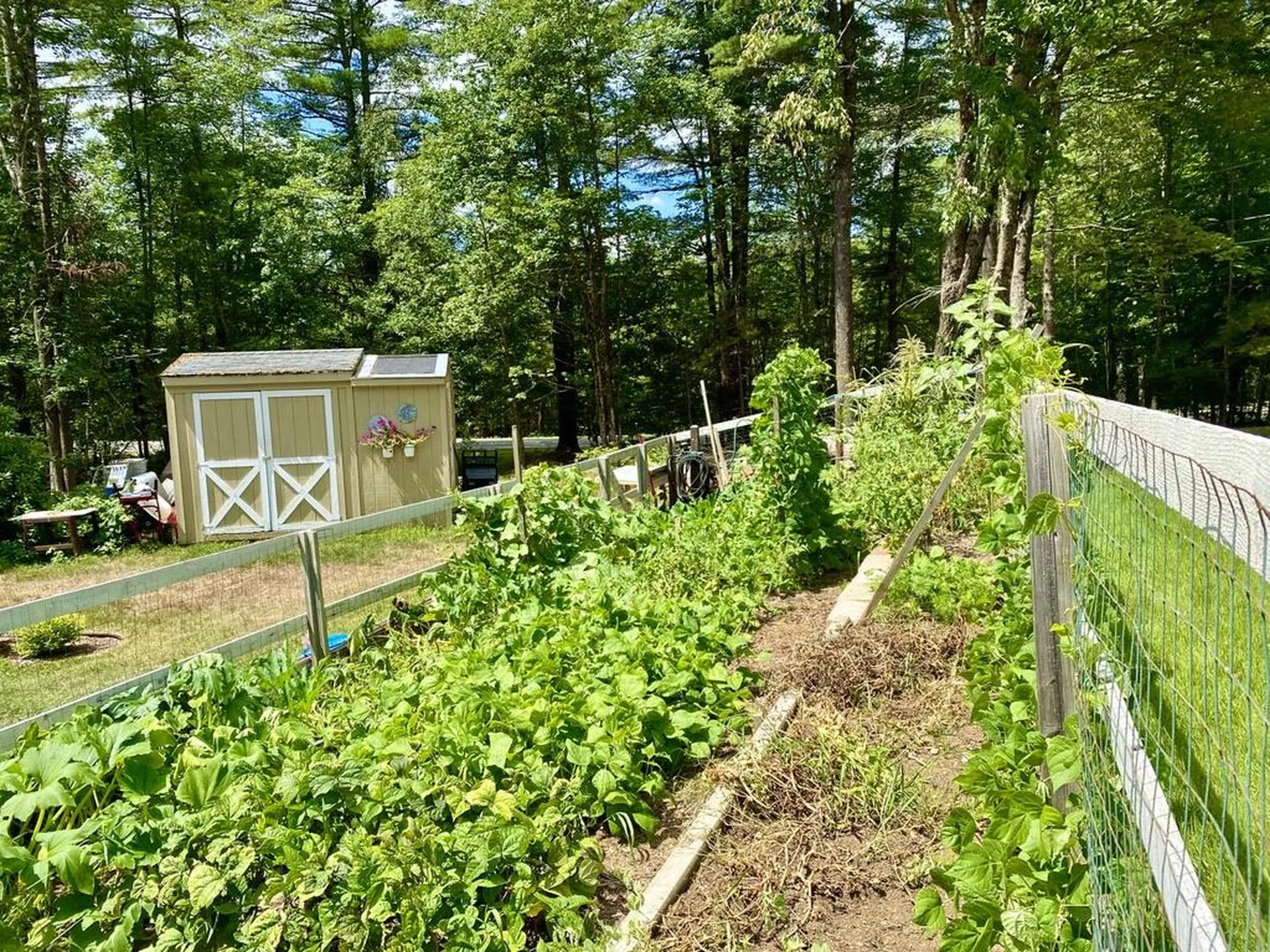 10 Willow Road Barrington NH 03825