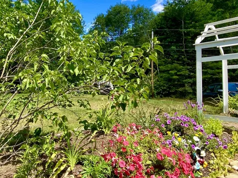 10 Willow Road Barrington NH 03825