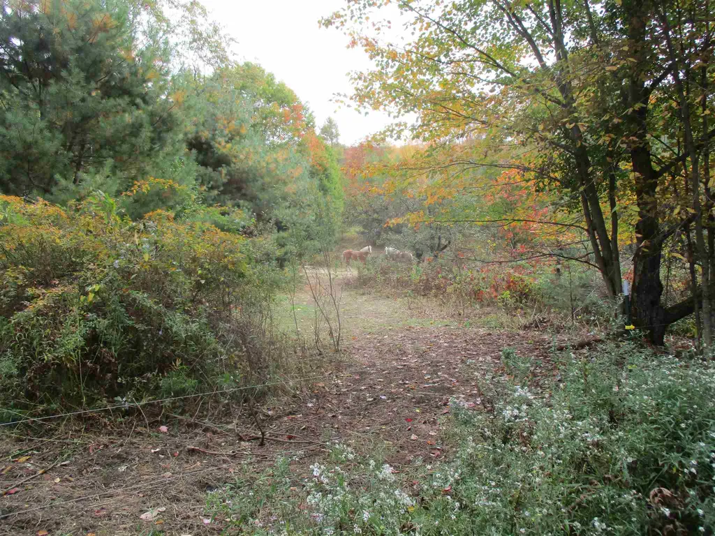 971 Gage Road Tunbridge VT 05077