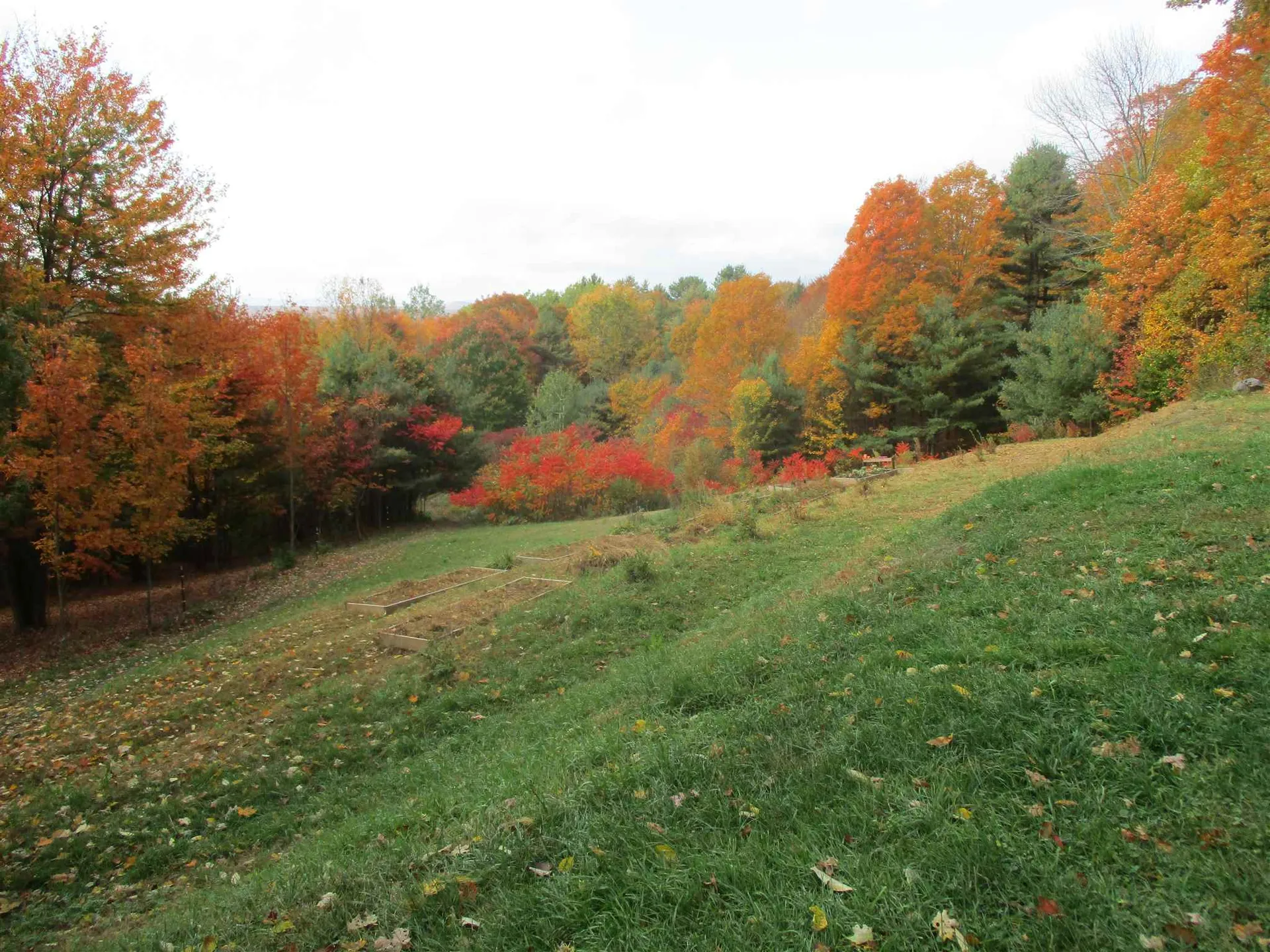 971 Gage Road Tunbridge VT 05077