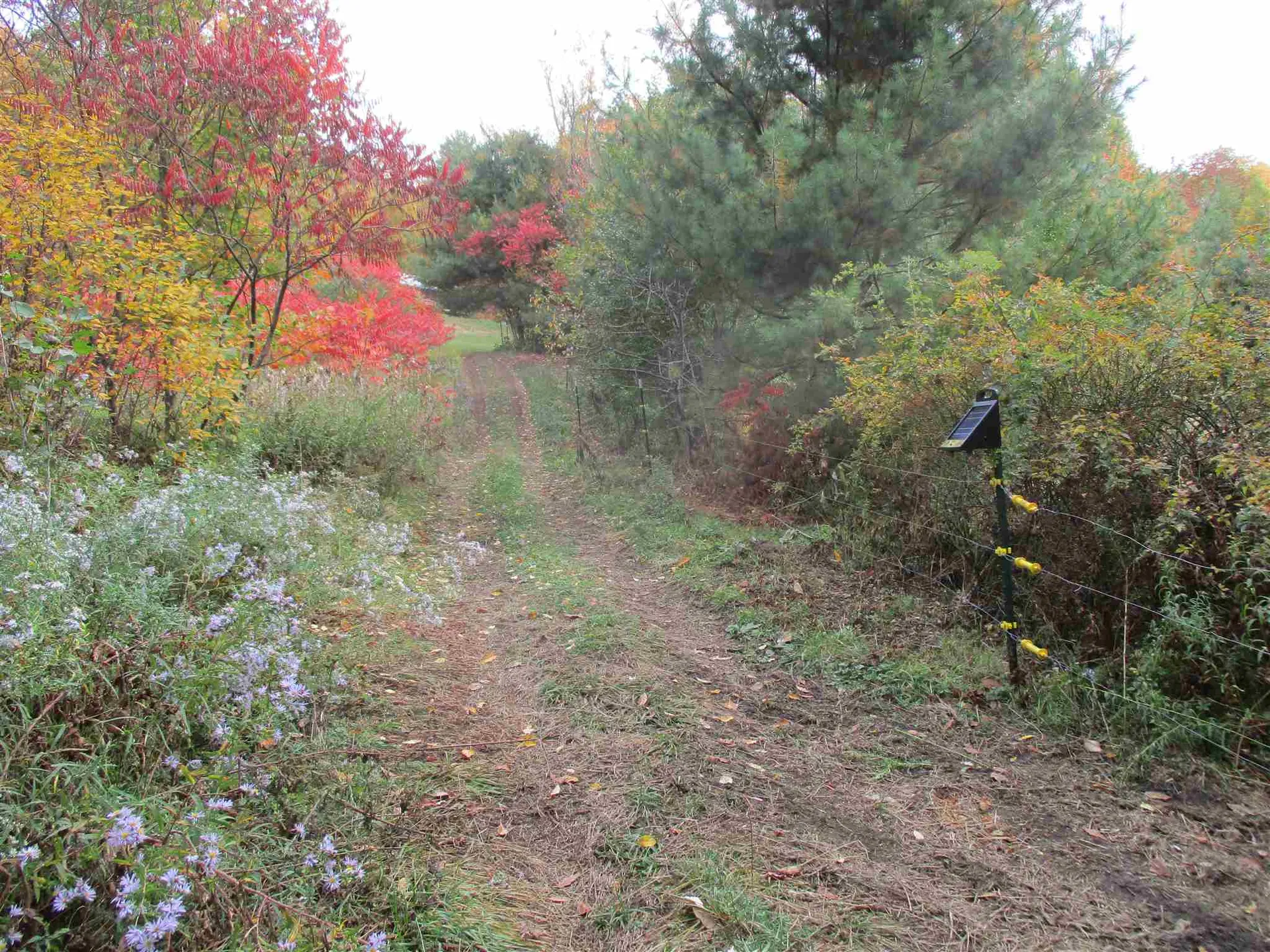 971 Gage Road Tunbridge VT 05077