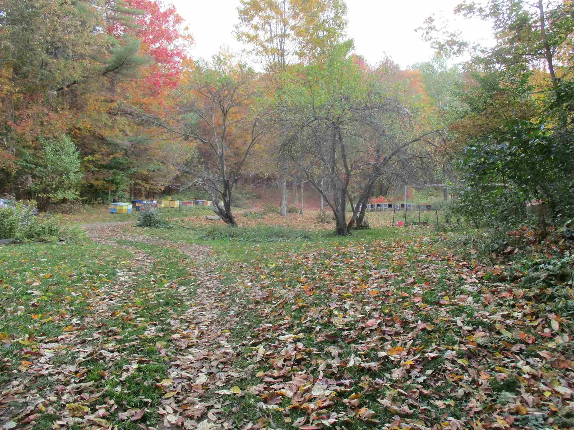 971 Gage Road Tunbridge VT 05077
